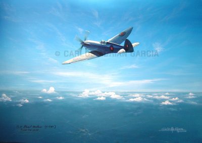 The Spitfire PR XIX over the skies