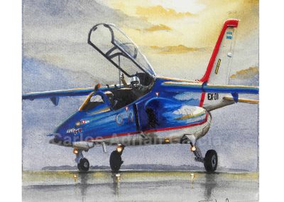 FMA IA-63 Pampa, Oil on canvas