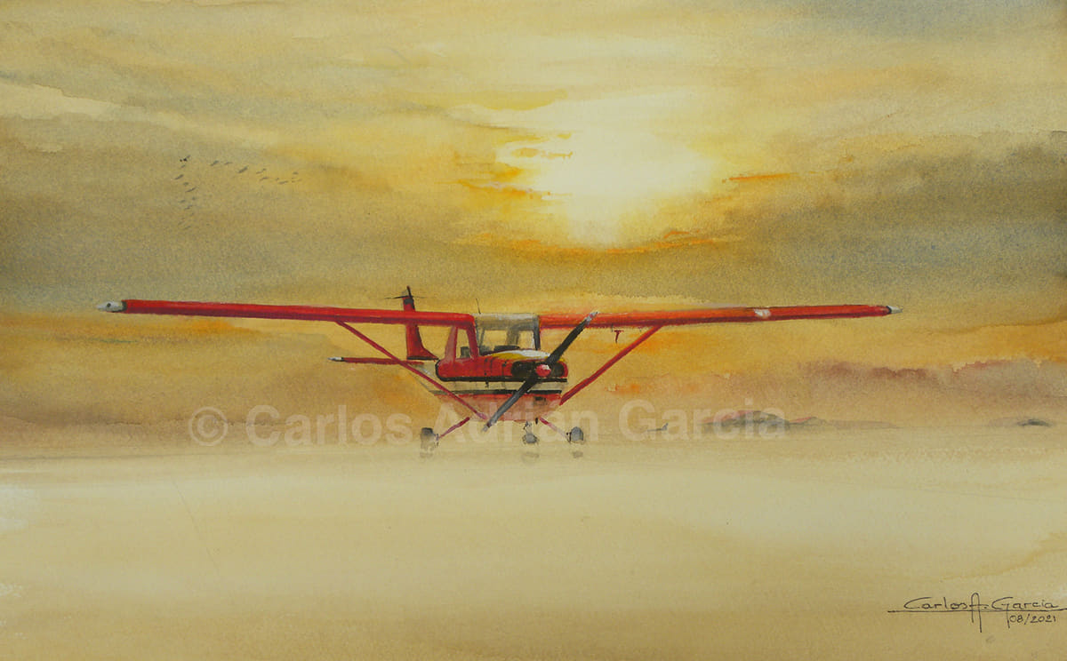 Cessna 150 LV-BXR, Oil on canvas